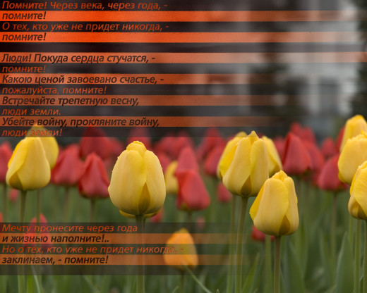 394311 (a): :1280x1024